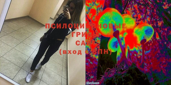 крисы Нефтегорск