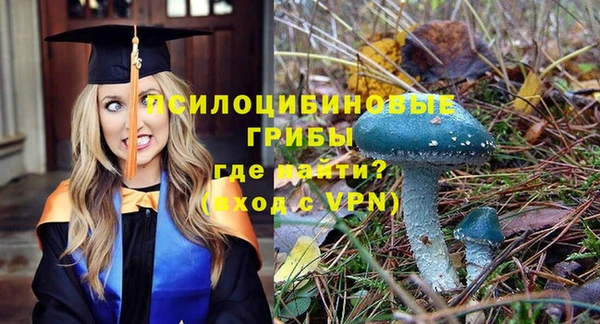 мескалин Нея