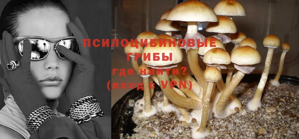ГАЛЛЮЦИНОГЕННЫЕ ГРИБЫ Нефтекумск