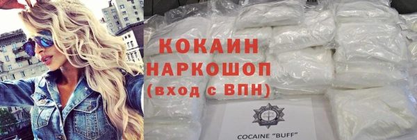 молекула духа Бежецк