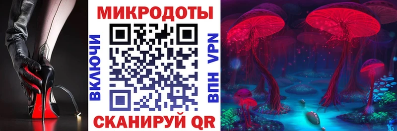 KRAKEN ONION  Новокузнецк  Псилоцибиновые грибы MAGIC MUSHROOMS 