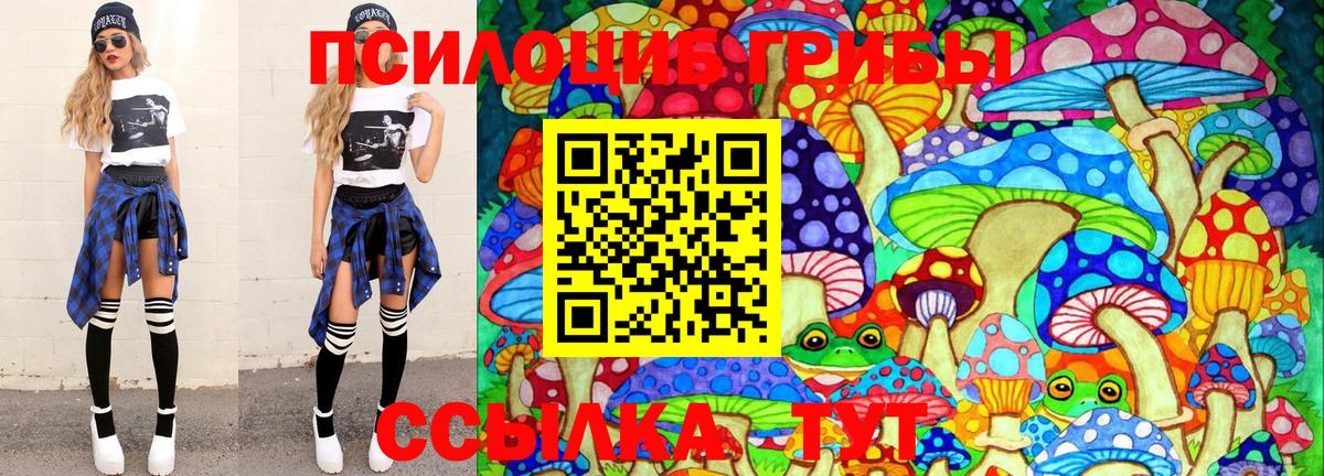 Галлюциногенные грибы ЛСД  сколько стоит  Новокузнецк  Галлюциногенные грибы ЛСД  Вход с VPN 