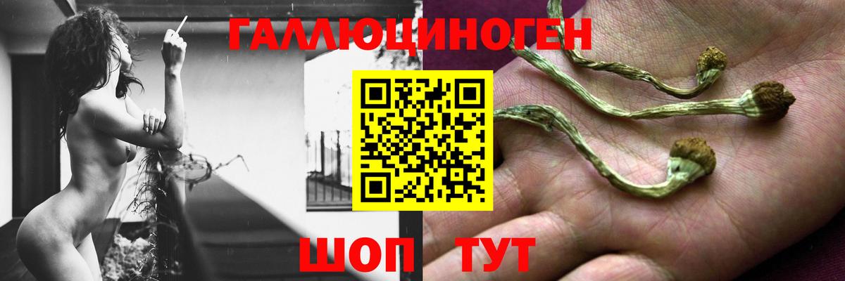 Галлюциногенные грибы мицелий  Псилоцибиновые грибы ЛСД  Новокузнецк 